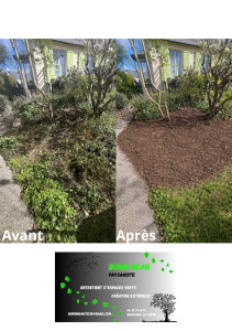 Photo de galerie - Désherbage et suppression de viorne très envahissante  