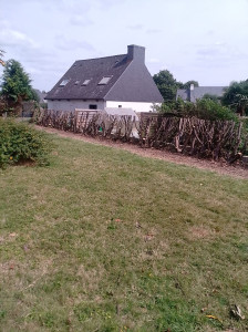 Photo de galerie - Abaissement de laurier palme
