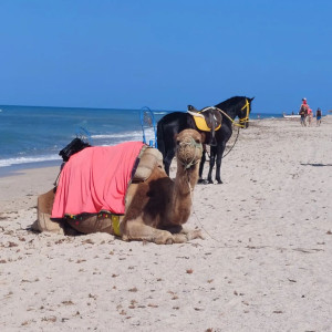 Photo de galerie - Photographe