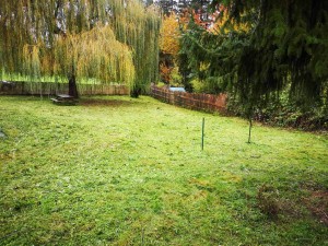 Photo de galerie - Jardinier