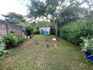 Photo de galerie - Taille de haies et d'arbustes