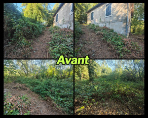 Photo de galerie - Avant: Gros débroussaillage d'une maison de sous-bois à vendre
