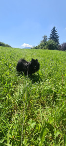 Photo de galerie - Belle balade dans les champs !!