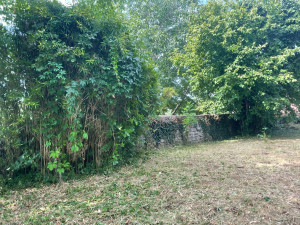 Photo de galerie - Suite du débroussaillage