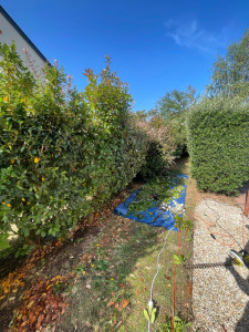 Photo de galerie - Taille de haies et d'arbustes