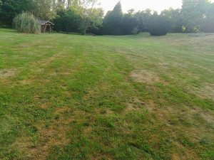 Photo de galerie - Jardinier