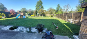 Photo de galerie - Tonte de pelouse - Débroussaillage