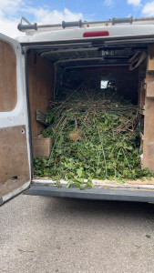Photo de galerie - évacuation de déchets vert 
