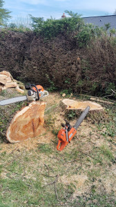 Photo de galerie - Abattage d'arbre