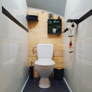 Photo de galerie - Remise au goût du jour pour ce  WC ? la réalisation du mur du fond a été faite pour la séparation d'un dessous d'escalier. 