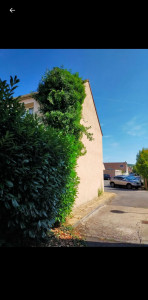 Photo de galerie - Avant 

enlèvement de lieres en façade avec passage sous tuiles.