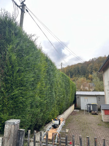 Photo de galerie - AVANT 