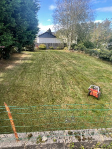 Photo de galerie - Tonte