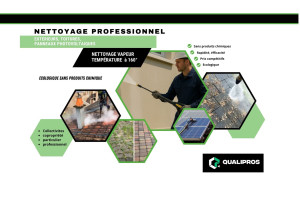 Photo de galerie - Nettoyage facade