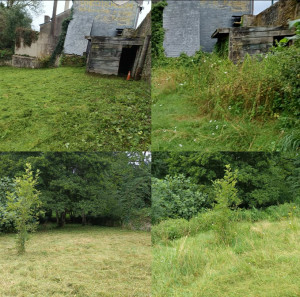 Photo de galerie - Avant/Après 