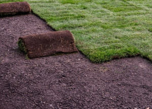 Photo de galerie - Paysagiste - Aménagement du jardin
