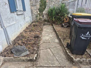 Photo de galerie - Tonte de pelouse - Débroussaillage