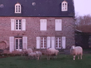 Photo de galerie - Manoir que je nettoie toutes les semaines 