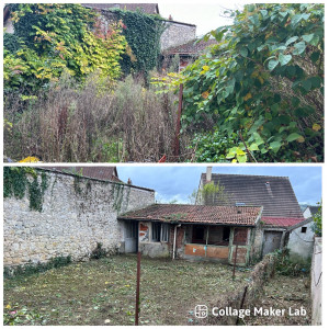 Photo de galerie - Défrichage complet d’un jardin à l’abandon 