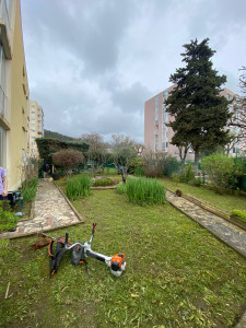 Photo de galerie - Entretien d’un petit jardin