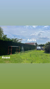 Photo de galerie - élagueur professionnel depuis 25ans 
élagage nettoyage 
entretien de jardin 
abbatage d'arbre dangereux 
taille de haies 
enlèvement de végétaux 
nettoyage de gouttière 
mon devis est mon déplacement son gratuit 