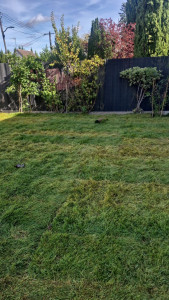 Photo de galerie - Paysagiste - Aménagement du jardin