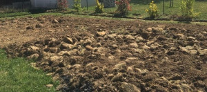 Photo de galerie - Jardinier