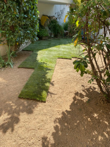 Photo de galerie - Paysagiste - Aménagement du jardin