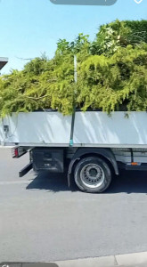 Photo de galerie - Débarrasser déchets