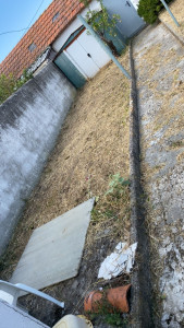 Photo de galerie - Tonte de pelouse - Débroussaillage