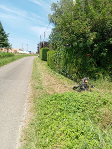 Photo de galerie - Taille de haies et d'arbustes