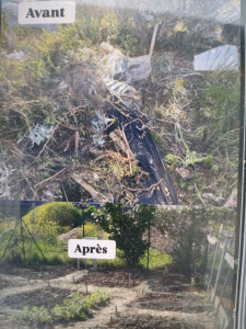 Photo de galerie - Prestation de jardinage 
