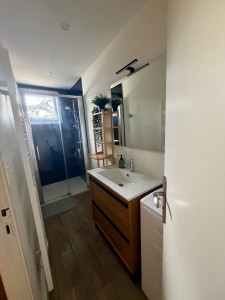 Photo de galerie - La salle de bain et les toilettes ont été  désinfectés ( lavabo,douche,baignoire,wc,robinetterie,et miroirs) les vitres accessible ont été nettoyés, les poubelles vidées et remplacés et un rangement léger a été effectué afin de laisser un logement propre