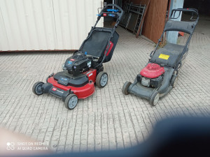 Photo de galerie - Tonte de pelouse - Débroussaillage