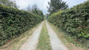 Photo de galerie - Taille de haie d’une entre de maison (haie que venais jusqu’au graviers) 