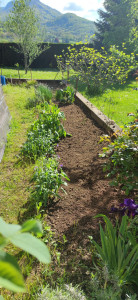 Photo de galerie - Paysagiste - Aménagement du jardin