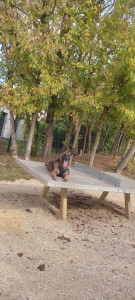 Photo de galerie - éduquer ☺️