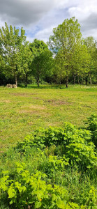 Photo de galerie - Entretien de potager 