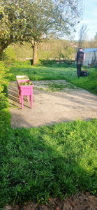 Photo de galerie - Tonte de pelouse 