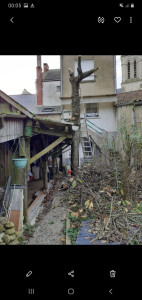 Photo de galerie - Abattage