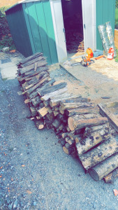 Photo de galerie - Coupe d’arbres 