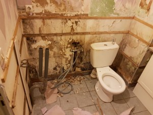 Photo de galerie - Rénovation d une WC , remplacement du WC , mise en place d un placo et peinture 