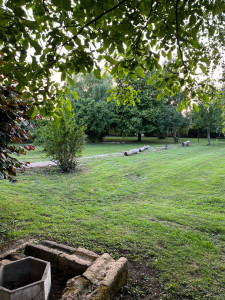 Photo de galerie - Tonte de pelouse - Débroussaillage