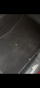 Photo de galerie - .