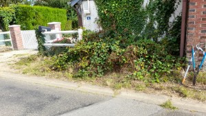 Photo de galerie - Tonte de pelouse - Débroussaillage