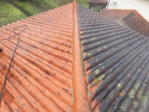 Photo de galerie - Nettoyage complète une couverture