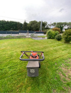 Photo de galerie - Tonte de pelouse - Débroussaillage