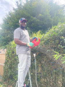 Photo de galerie - Arranger votre jardin 