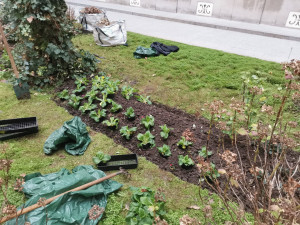 Photo de galerie - Jardinier