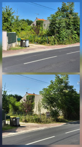 Photo de galerie - Débroussaillage ronces 2 mètres de haut 500m² 